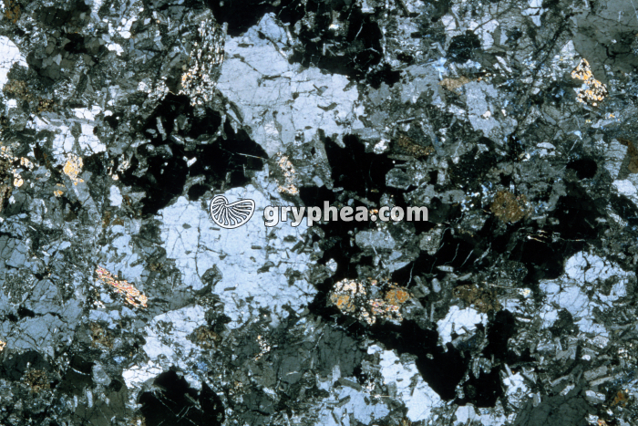 Plagiogranite LPA x3,5 - gryphea.com